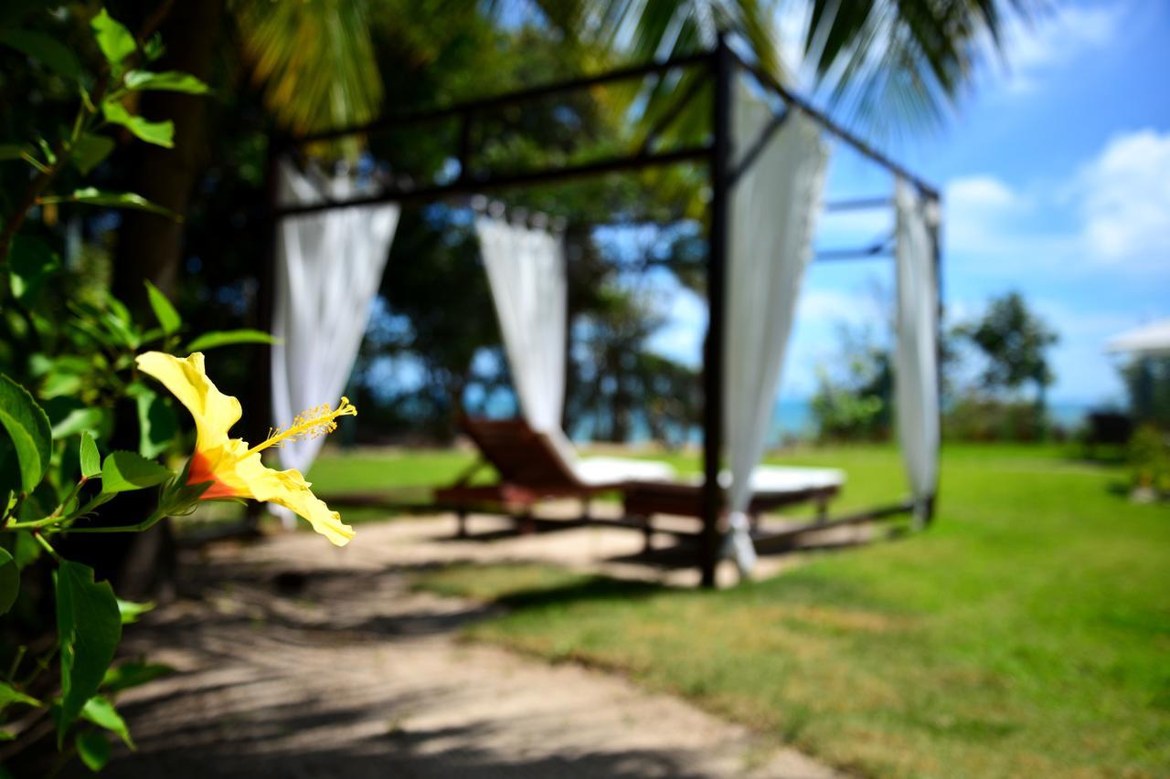 Pousada Enseada Dos Golfinhos Praia de Pipa Buitenkant foto